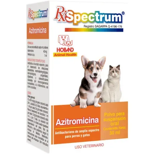SPECTRUM AZITROMICINA