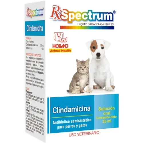 SPECTRUM CLINDAMICINA SUSPENSION