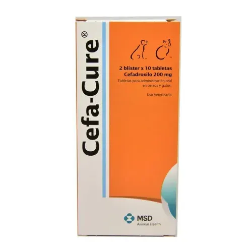 CEFA-CURE