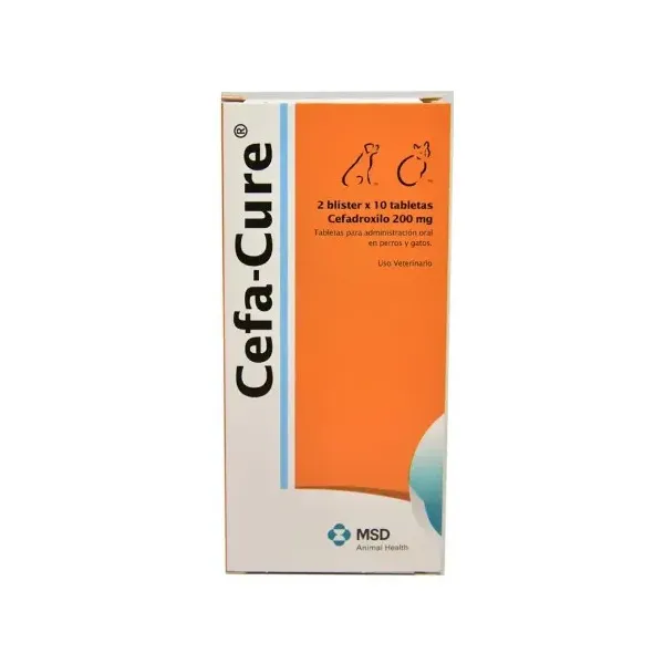 CEFA-CURE