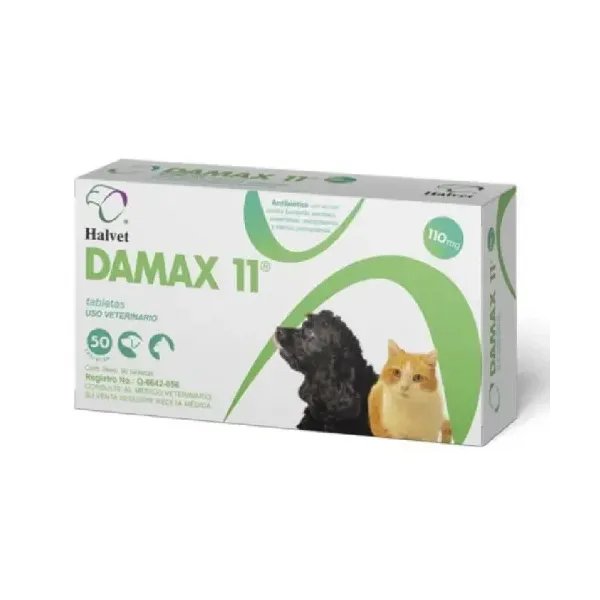 DAMAX 11