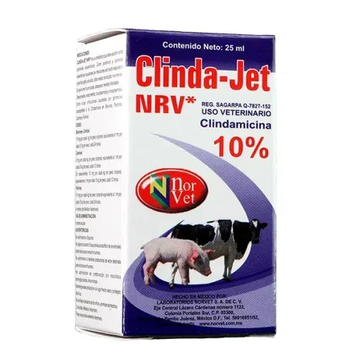 CLINDA JET 10%