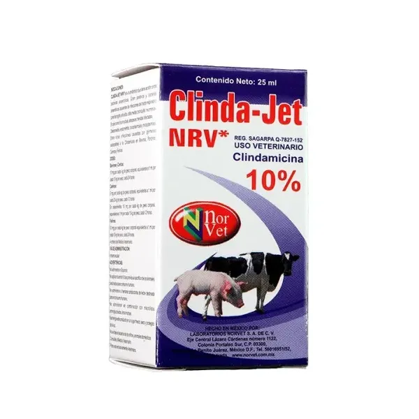 CLINDA JET 10%