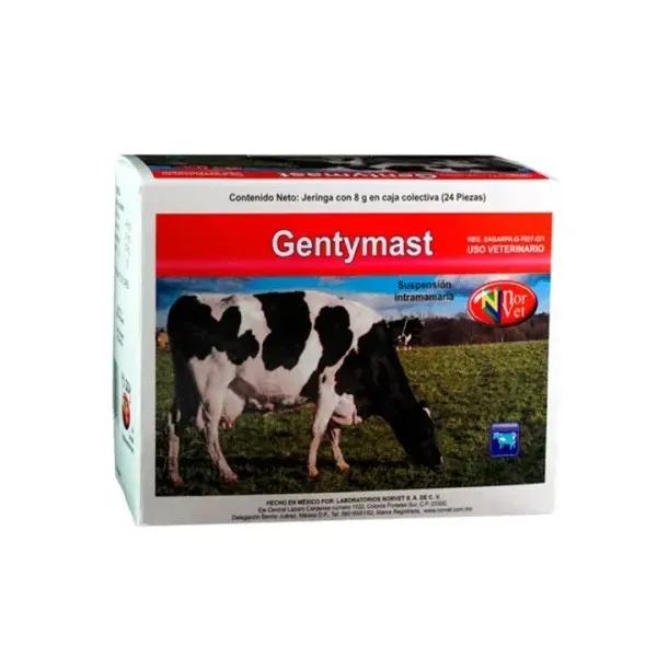 GENTYMAST 24 X 8 GR.