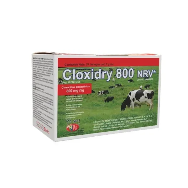 CLOXIDRY 800