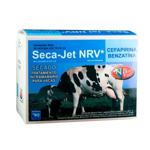 SECA-JET