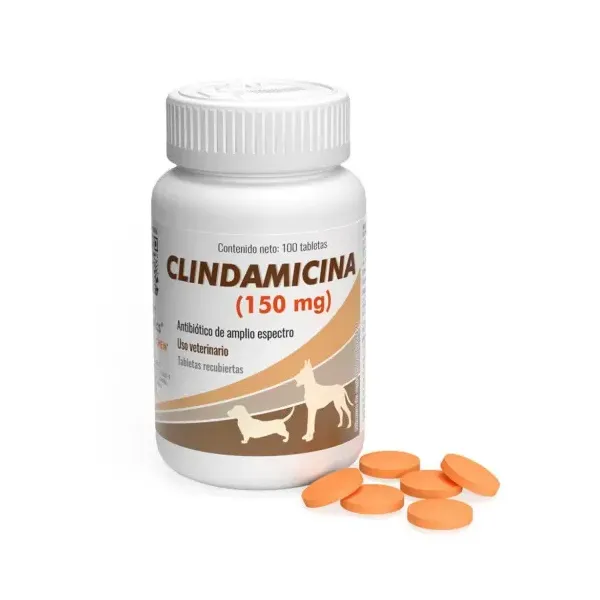 CLINDAMICINA ALPHACHEM