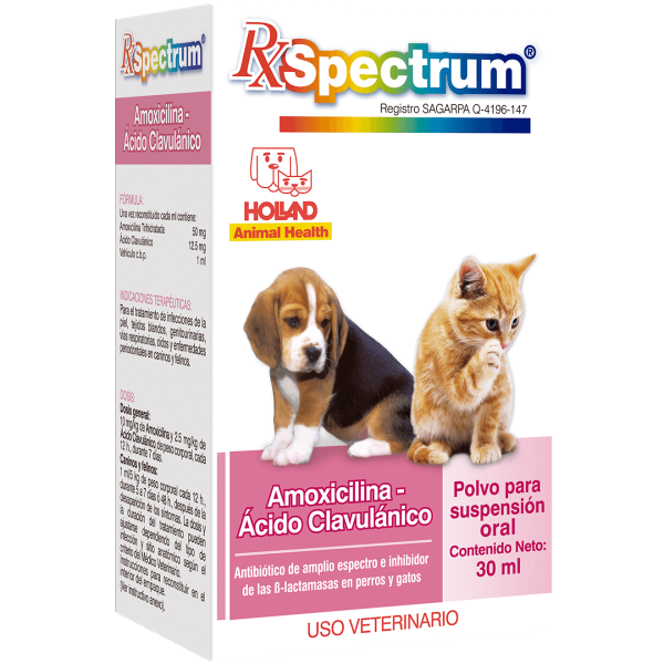 SPECTRUM AMOXICILINA ACIDO CLAVULANICO 30 ML