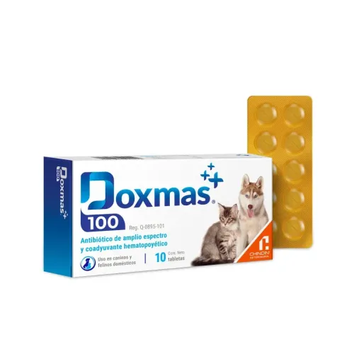 DOXMAS 100