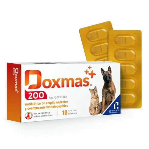 DOXMAS 100 2