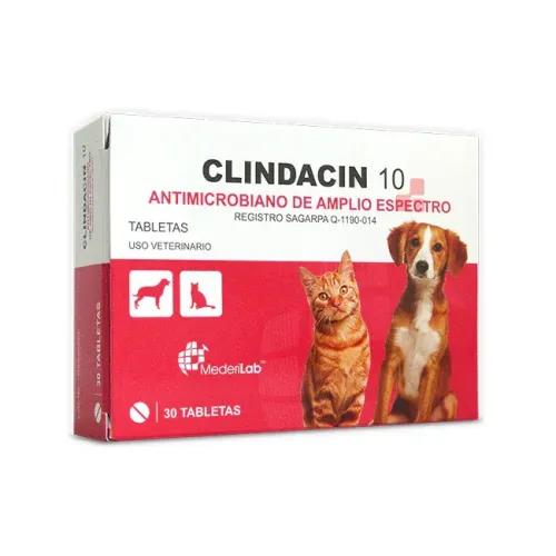CLINDACIN 10
