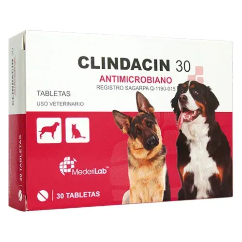 CLINDACIN 30