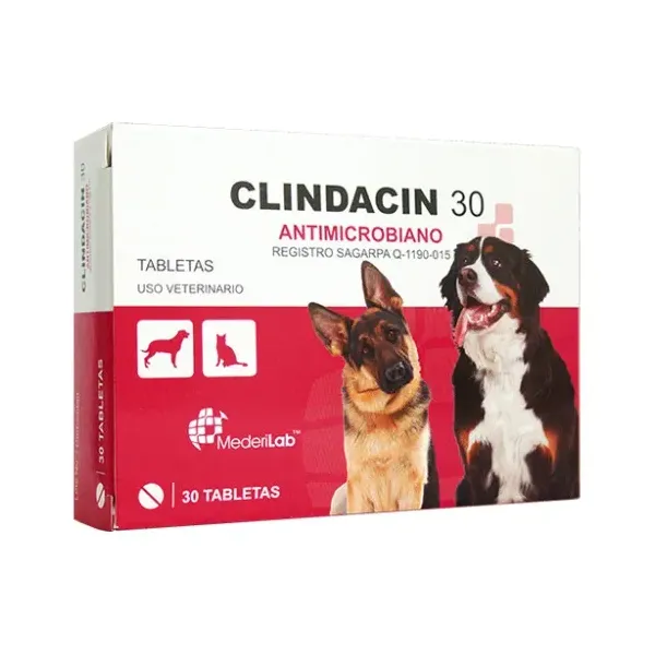 CLINDACIN 30