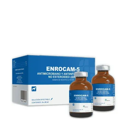 ENROCAM-5