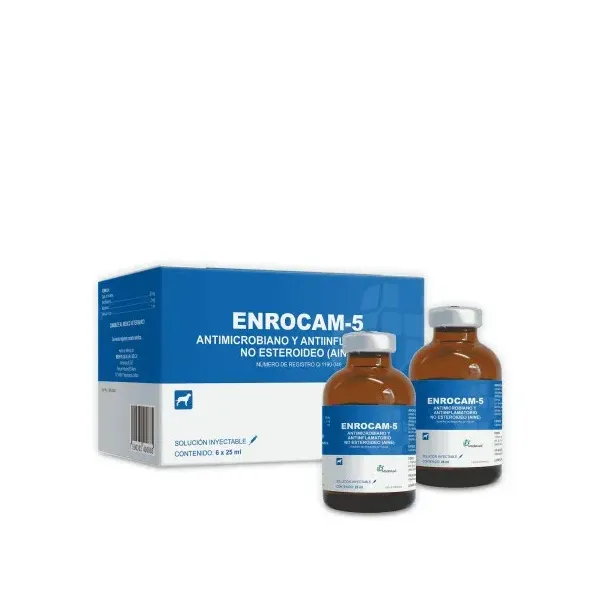 ENROCAM-5
