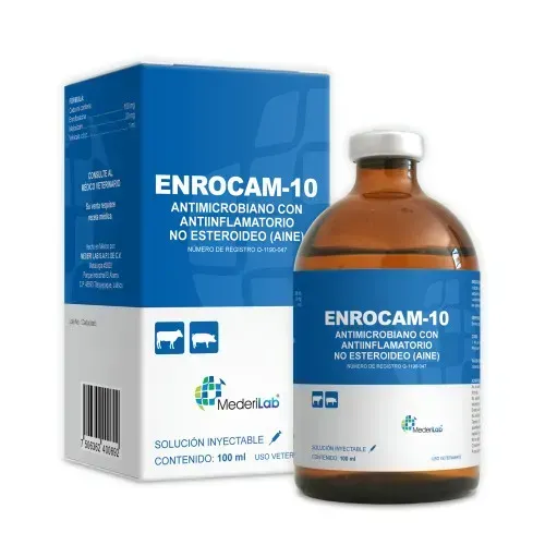 ENROCAM 10