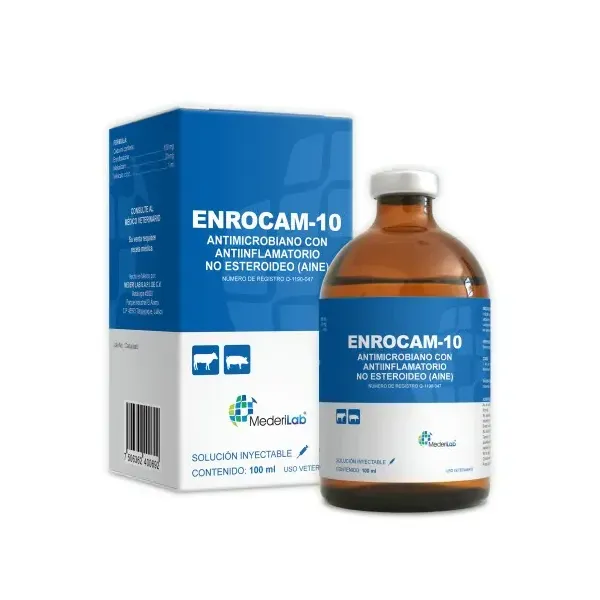 ENROCAM 10