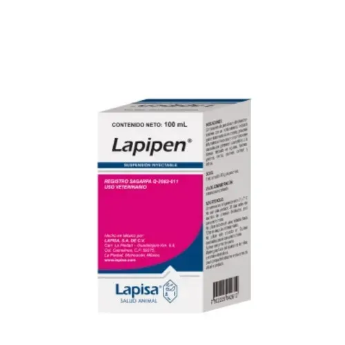 LAPIPEN