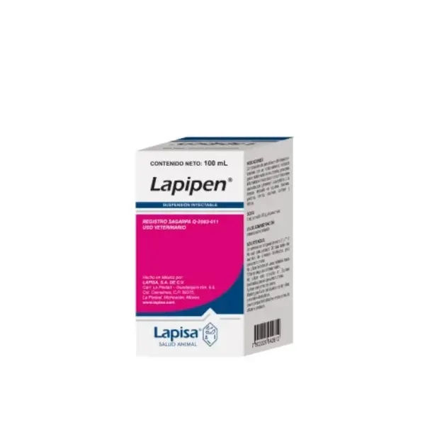 LAPIPEN