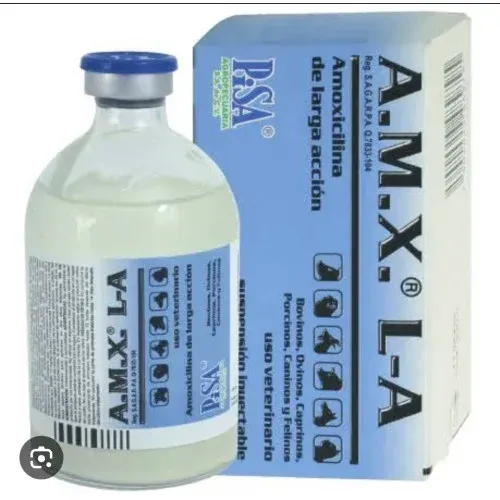 AMX LA