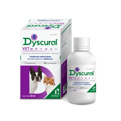 DYSCURAL SUSPENSION