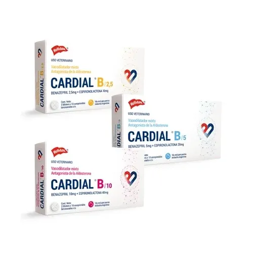 CARDIAL B HOLLIDAY