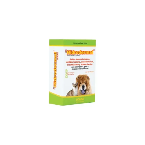 HOLLAND HIDRODERMAL