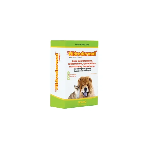HOLLAND HIDRODERMAL