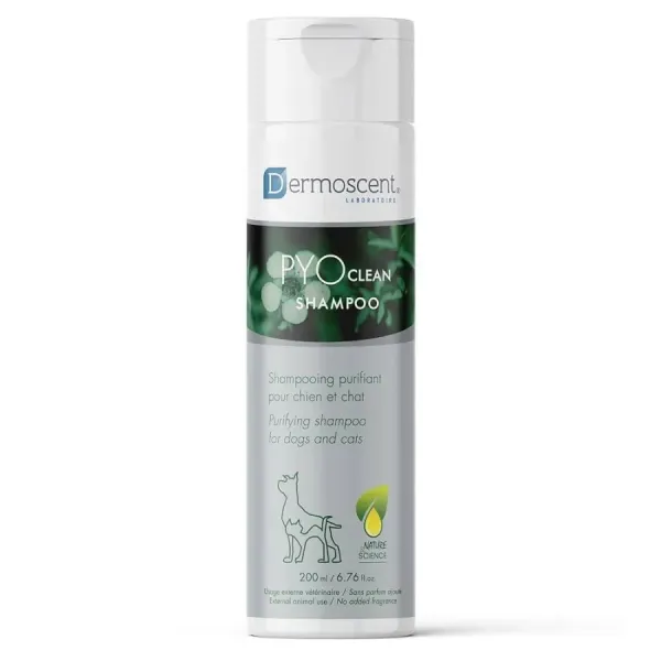 DERMOSCENT PYO CLEAN SHAMPOO