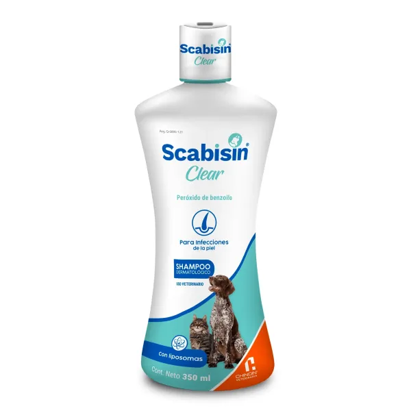 SCABISIN CLEAR CHINOIN