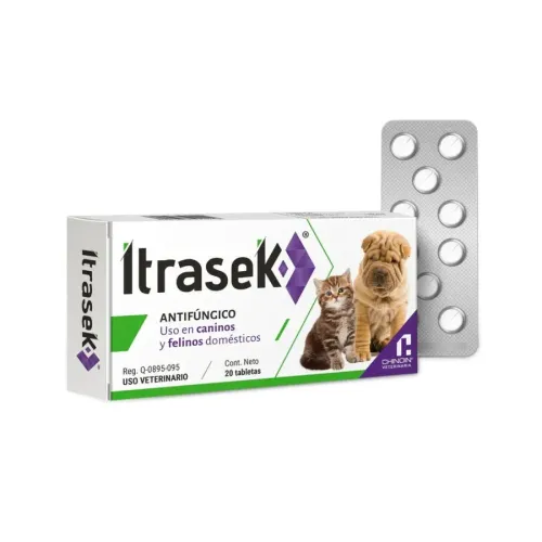 ITRASEK CHINOIN