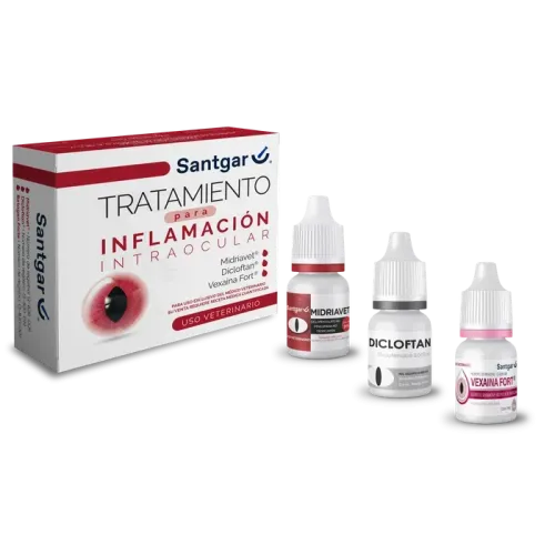 Kit para Inflamación Intraocular Santgar | Estación Mascota