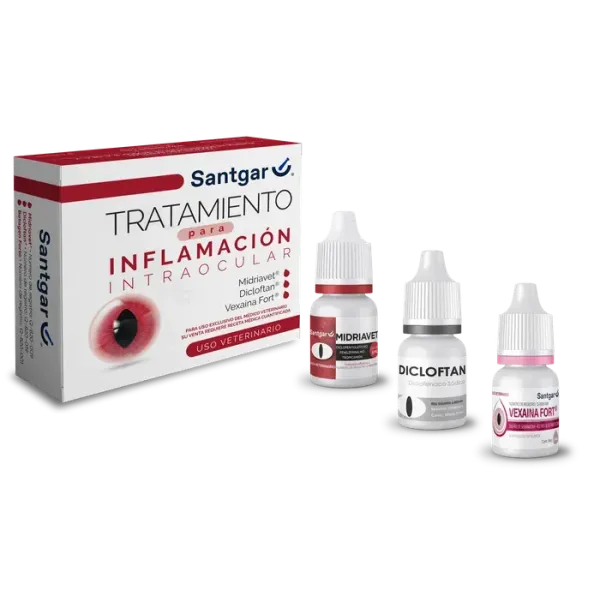 Kit para Inflamación Intraocular Santgar | Estación Mascota