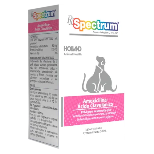 Spectrum Suspensión Antibiótica Amoxicilina + Clavulánico | Estación Mascota