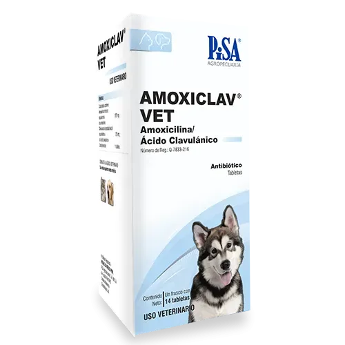 Amoxiclav Vet Antibiótico de Amplio Espectro | Estación Mascota