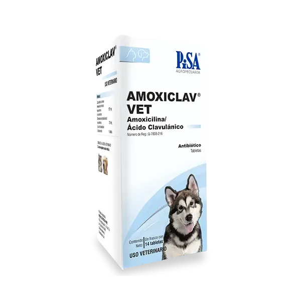 Amoxiclav Vet Antibiótico de Amplio Espectro | Estación Mascota
