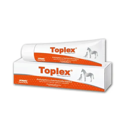 TOPLEX HOLLAND