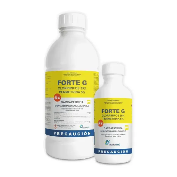 FORTE G MEDERILAB