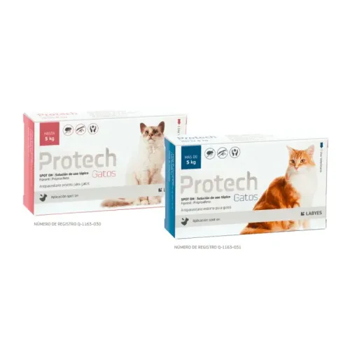 PROTECH GATO LABYES