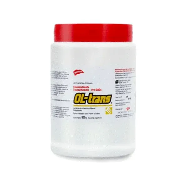 OL-TRANS 800G HOLLIDAY