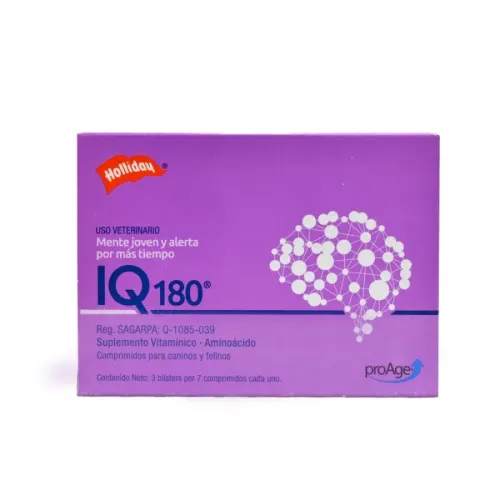 IQ 180 HOLLIDAY