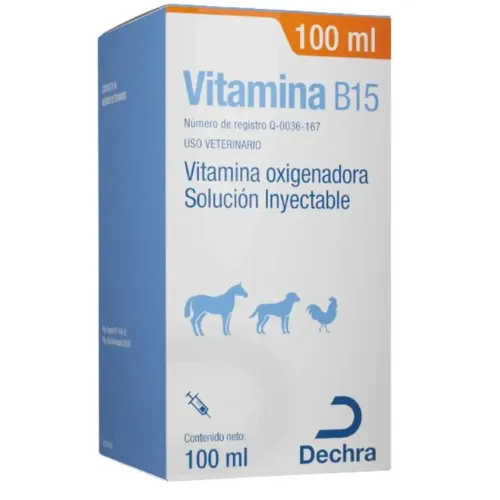 VITAMINA B15 25ML DECHRA 2