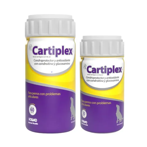 CARTIPLEX HOLLAND