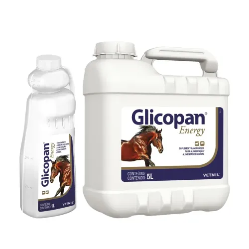 GLICOPAN ENERGY VETNIL