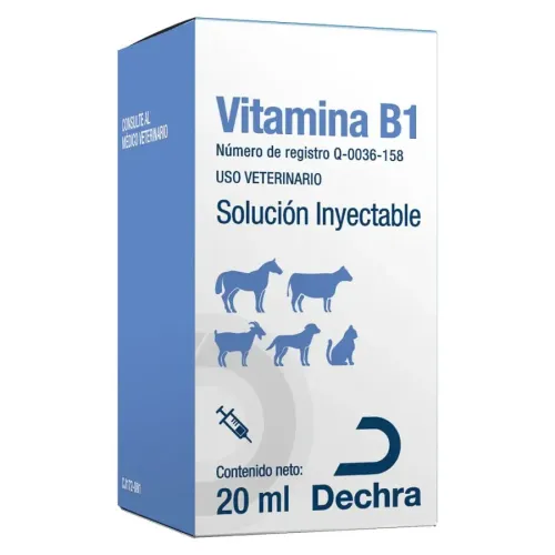 VITAMINA B1 DECHRA