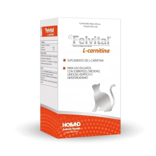 FELVITAL L-CARNITINA HOLLAND