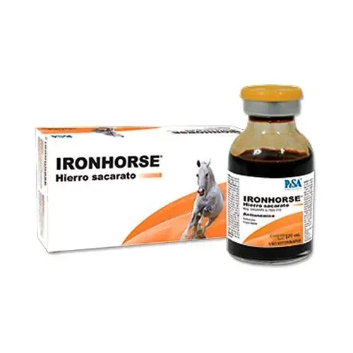 IRONHORSE PISA