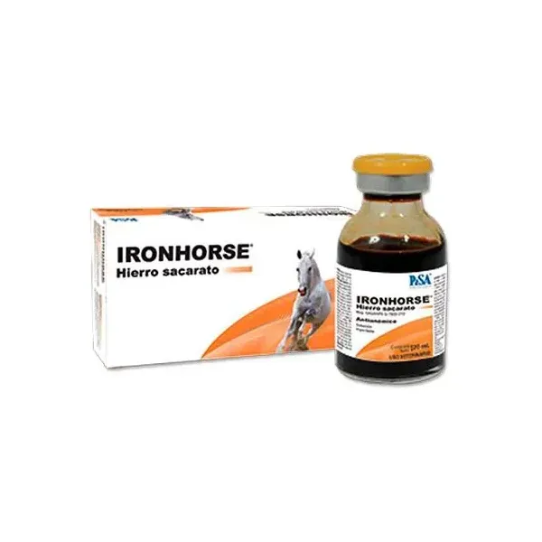 IRONHORSE PISA