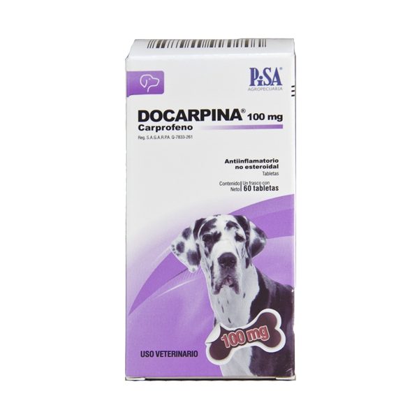 PISA DOCARPINA