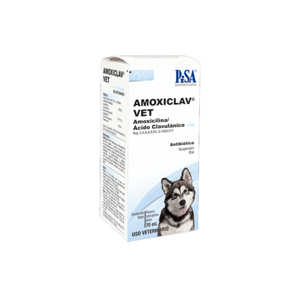 PISA AMOXICLAV VET SUSPENSION